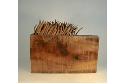 bois15