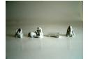 porcelaines01