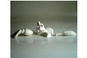porcelaines16
